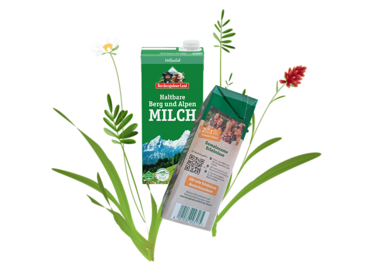 Scan and have fun_bbm_collage