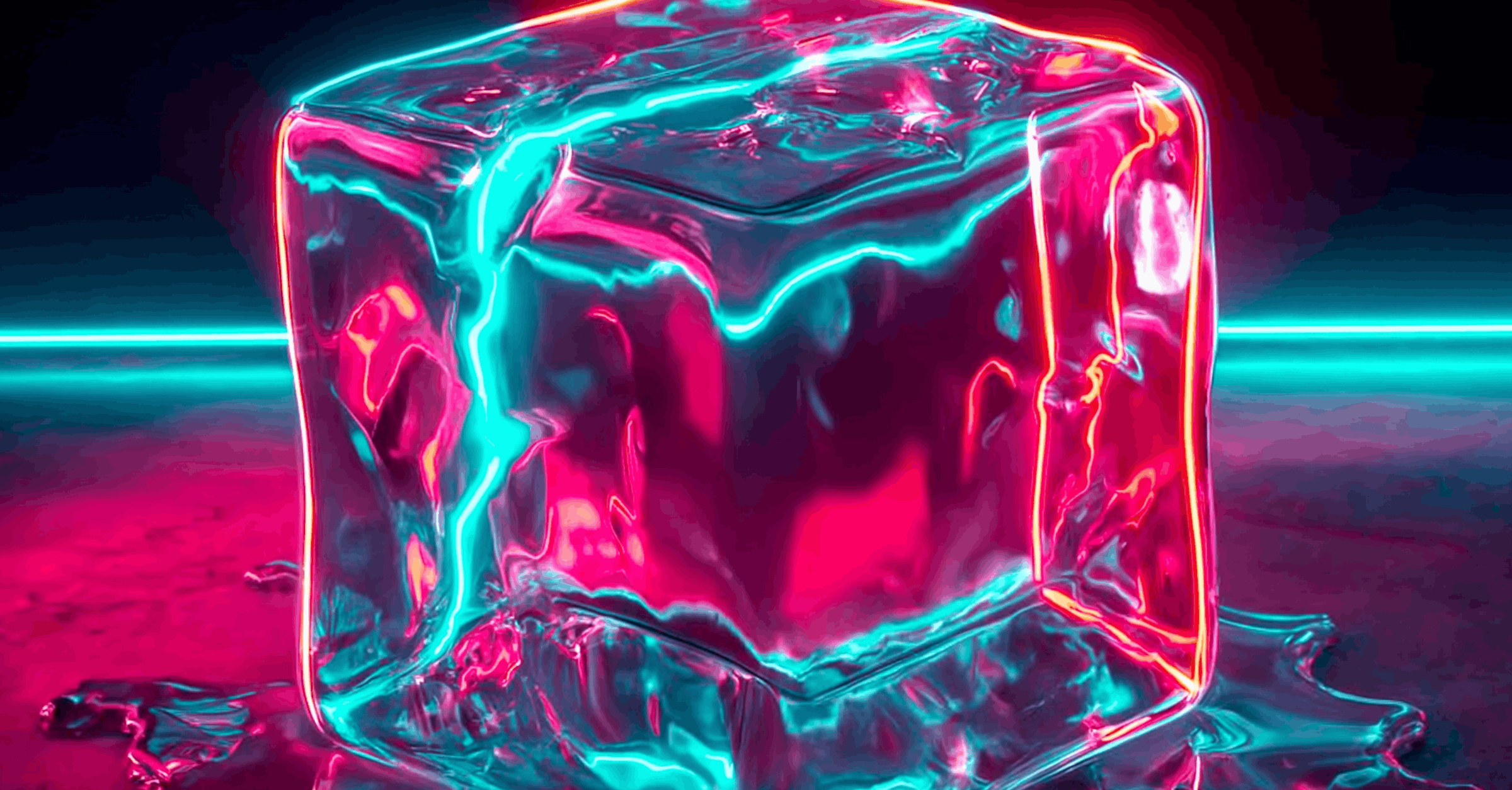 Transparente Power am Kühlregal: SUPERSCREENS jetzt exklusiv bei REINBOLDROST